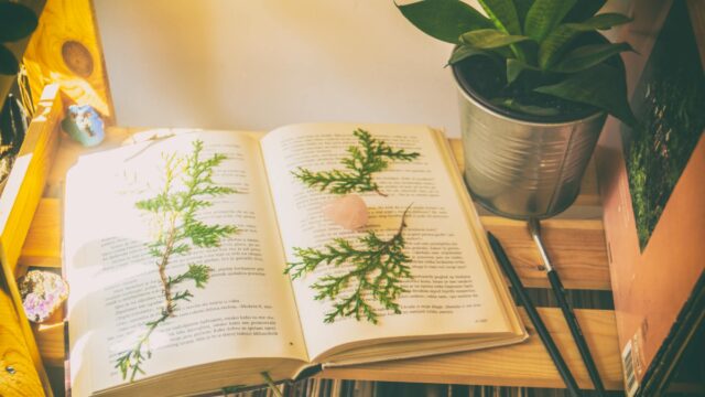 green leaves on top of open book near paint brush and green snake plant on pot