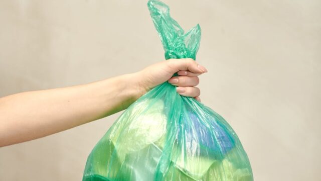 person holding plastic bag with garbage